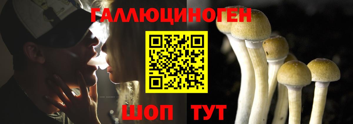 Глазов  Галлюциногенные грибы мухоморы  Вход с VPN 