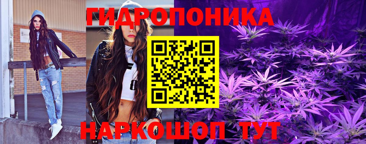 Каннабис VHQ Глазов